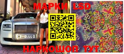марки nbome Сланцы