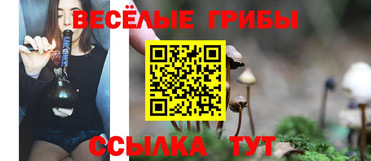 Мариинск  Псилоцибиновые грибы Cubensis  Вход с VPN  Псилоцибиновые грибы Cubensis 
